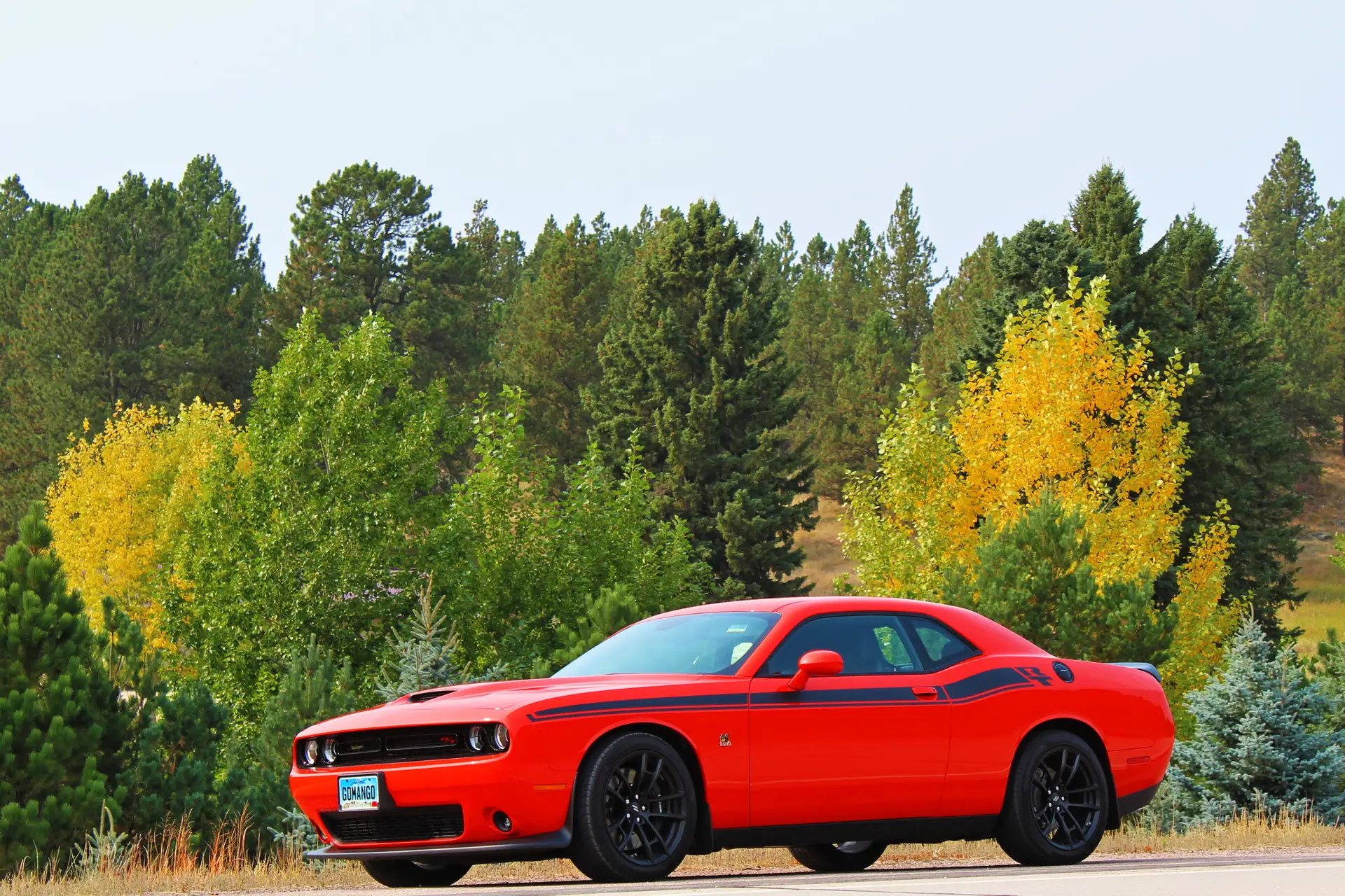 Top 10 Dodge Challenger Floor Pan Splash Shield Manufacturers: Best Engine Underbody Guards And Undercarriage Shields for Muscle Car Protection