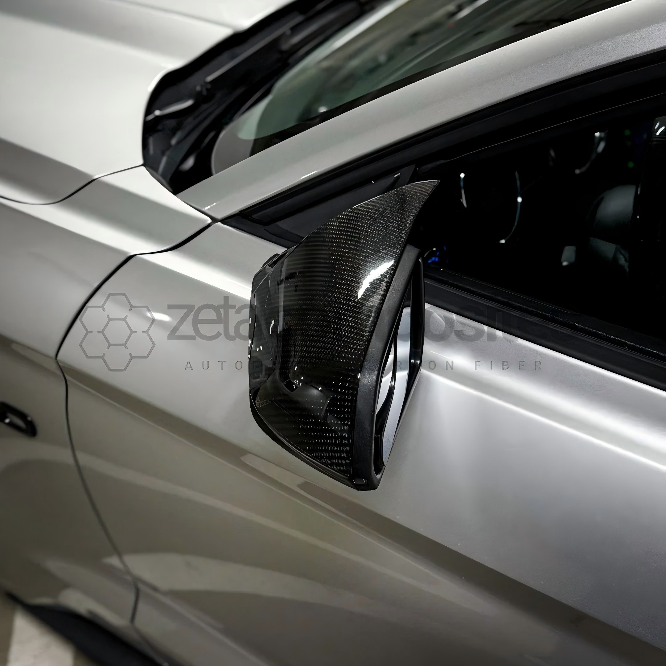 Zeta Mustang Mirror Housing