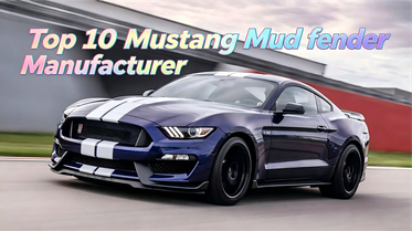 Los 10 mejores fabricantes de guardabarros Mustang.png