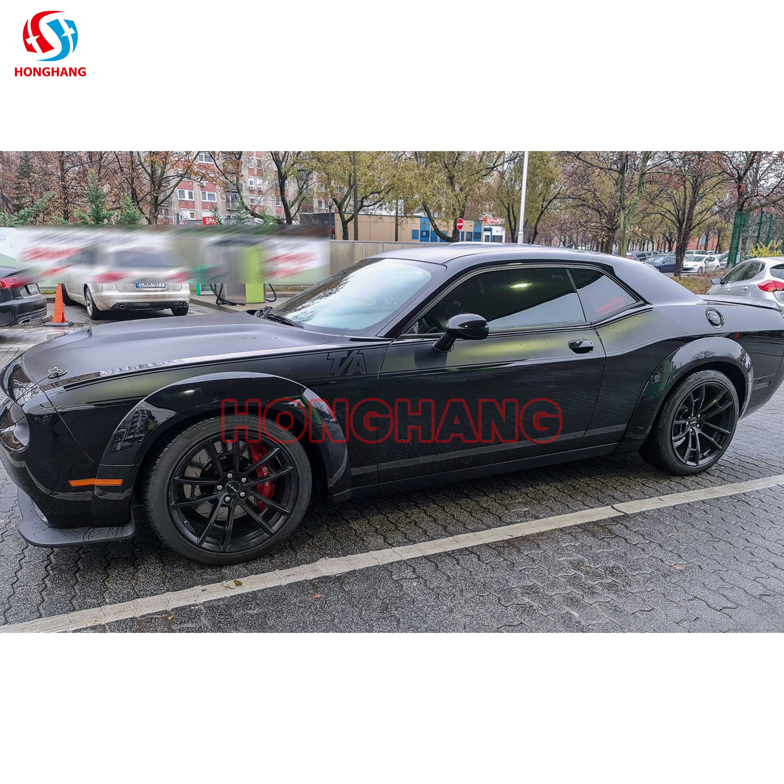 Dodge Challenger Widebody Fender Flares