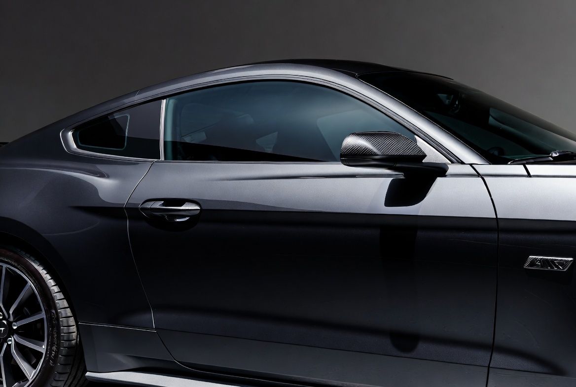 Mustang Exterior Door Handle Cover