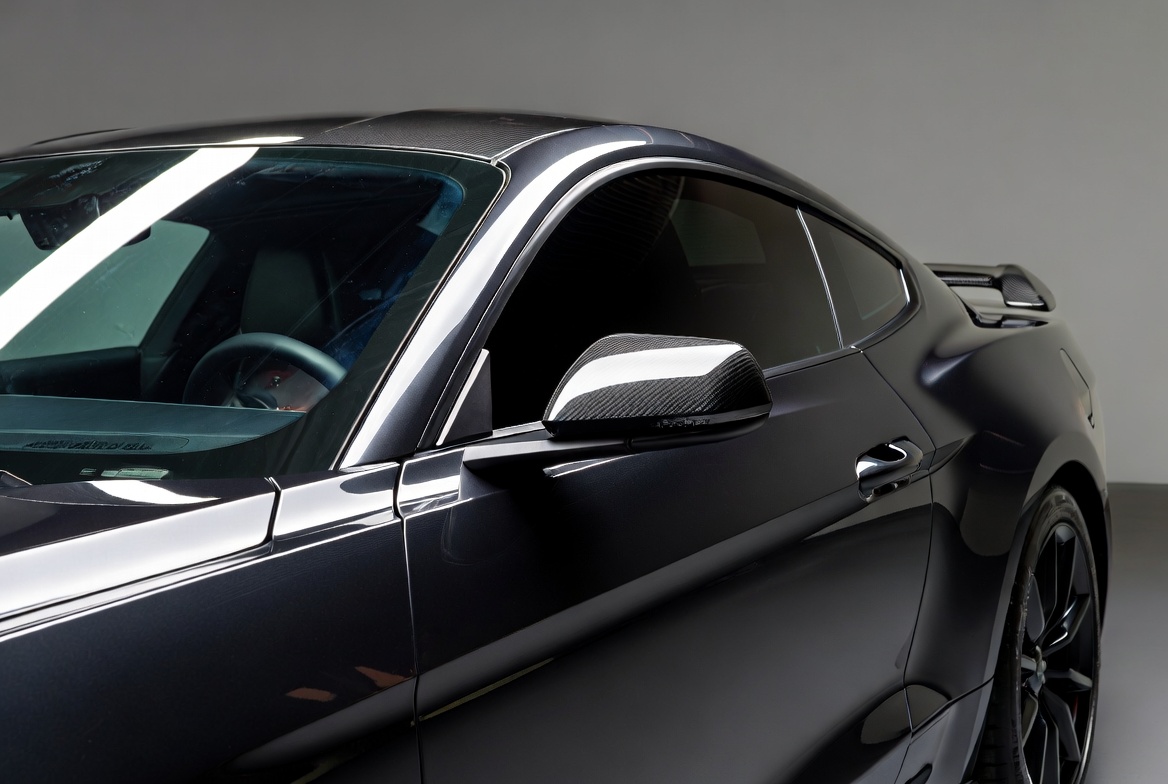 Mustang Mirror housing