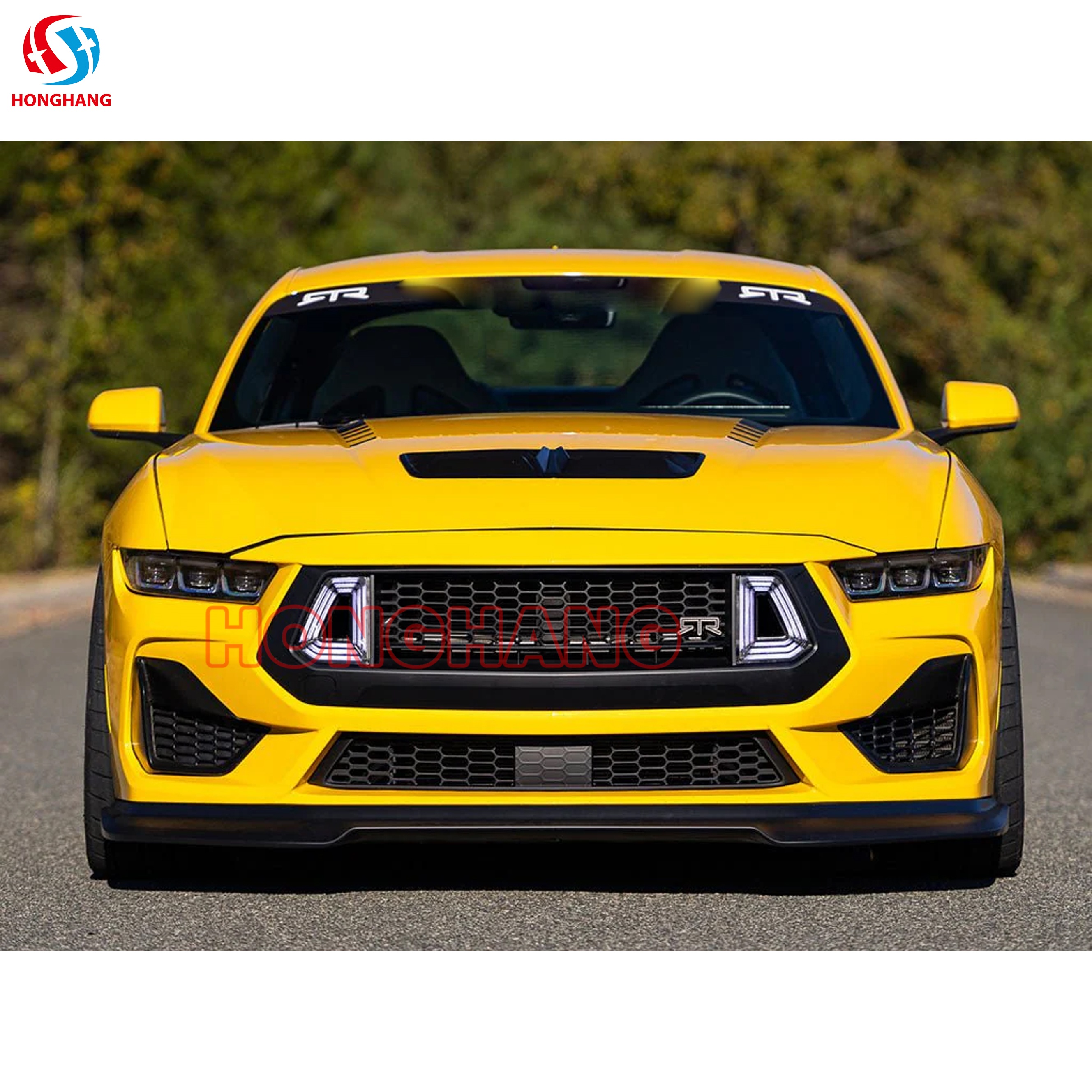 Mustang GT Lower Grille