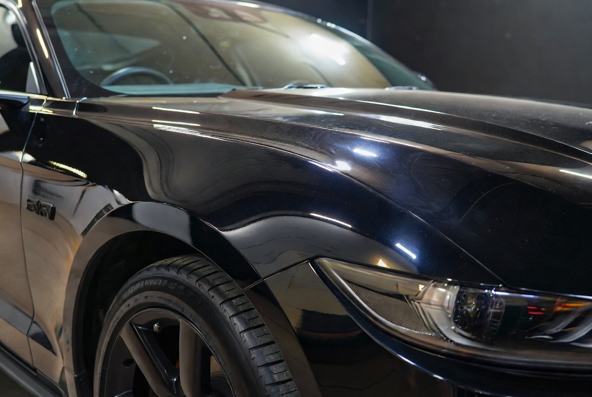 Mustang Front Fender liner